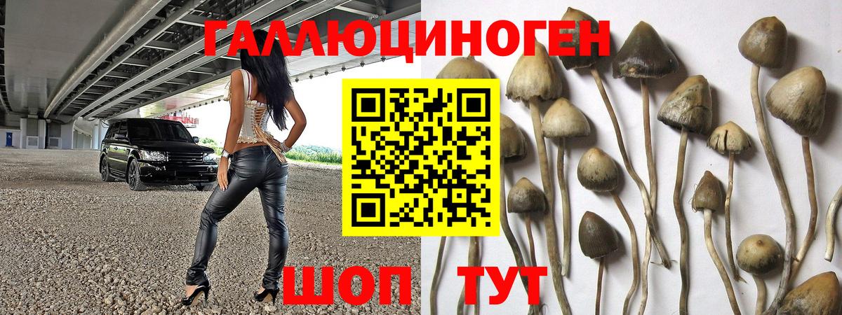 Галлюциногенные грибы Magic Shrooms Ростов-на-Дону